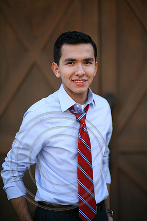 Shirt and tie portrait