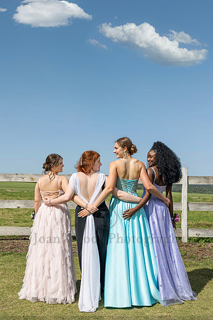 High School Senior Portraits in Formals